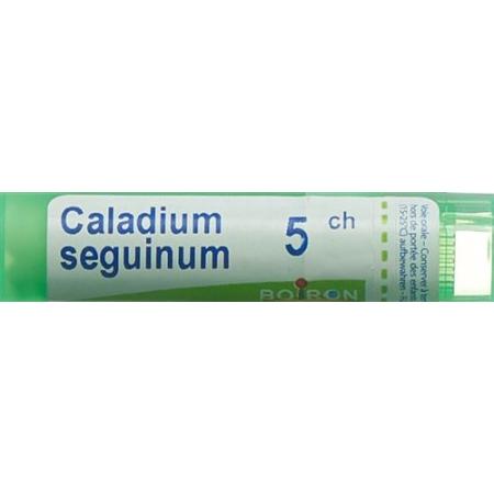 Boiron Caladium seguinum Gran C 5 4 g - PrimeCare Global