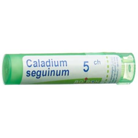 Boiron Caladium seguinum Gran C 5 4 g - PrimeCare Global