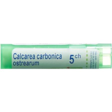 Boiron Calcarea carbonica ostrearum Gran C 5 4 g - PrimeCare Global