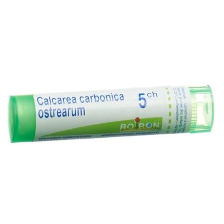 Boiron Calcarea carbonica ostrearum Gran C 5 4 g - PrimeCare Global