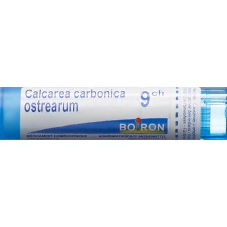 Boiron Calcarea carbonica ostrearum Gran C 9 4 g - PrimeCare Global
