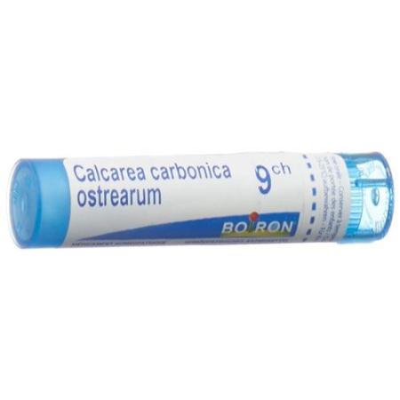 Boiron Calcarea carbonica ostrearum Gran C 9 4 g - PrimeCare Global