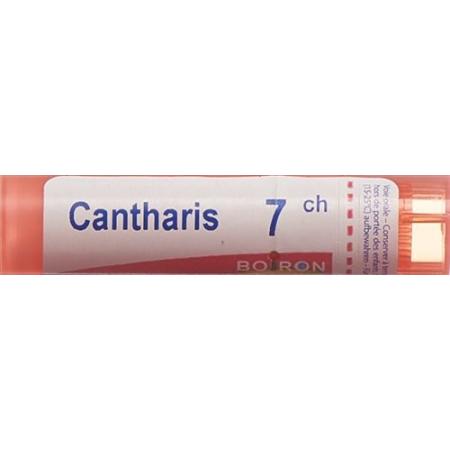 Boiron Cantharis Gran C7 4g - PrimeCare Global