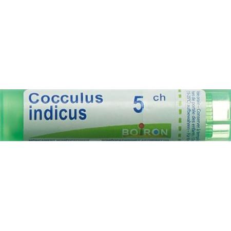 Boiron Cocculus indicus Gran C5 4g - PrimeCare Global