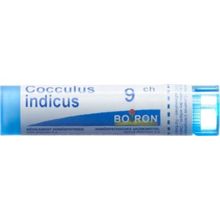 Boiron Cocculus indicus Gran C 9 4g - PrimeCare Global