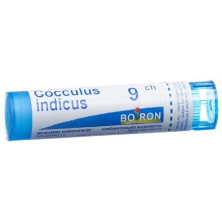 Boiron Cocculus indicus Gran C 9 4g - PrimeCare Global