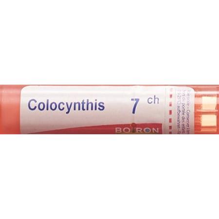 Boiron Colocynthis Gran C 7 4g - PrimeCare Global
