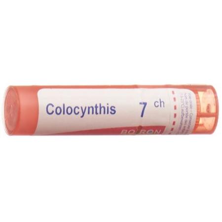 Boiron Colocynthis Gran C 7 4g - PrimeCare Global