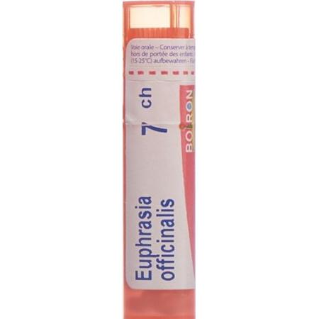 Boiron Euphrasia officinalis Gran C 7 4g - PrimeCare Global