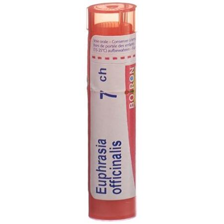 Boiron Euphrasia officinalis Gran C 7 4g - PrimeCare Global