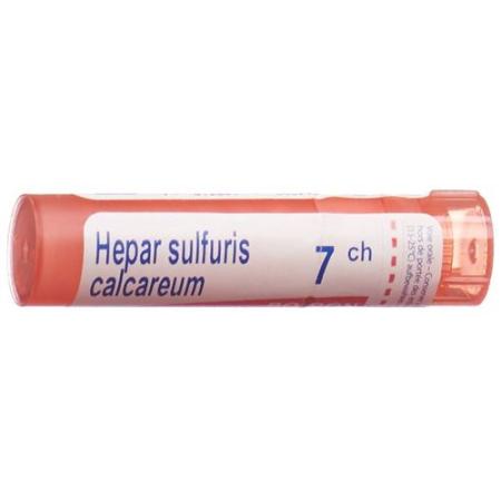 Boiron Hepar sulfuris calcareum Gran C 7 4 g - PrimeCare Global