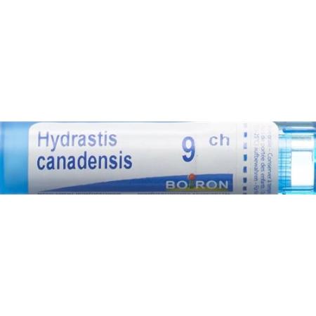 Boiron Hydrastis canadensis Gran C 9 4g - PrimeCare Global