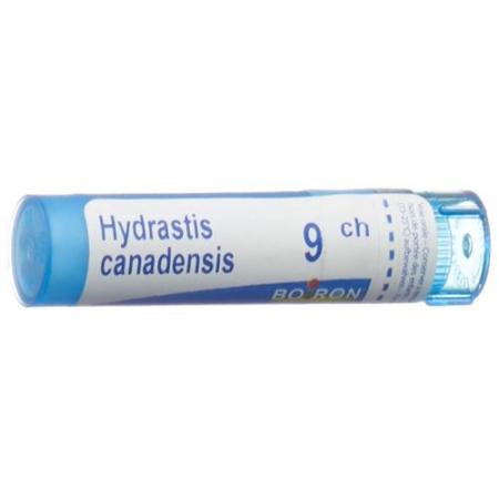 Boiron Hydrastis canadensis Gran C 9 4g - PrimeCare Global