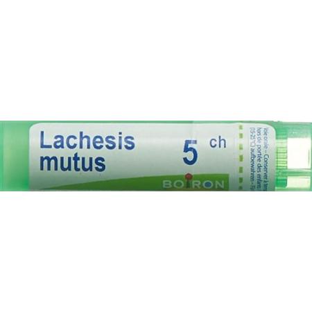 Boiron Lachesis mutus Gran C5 4g - PrimeCare Global