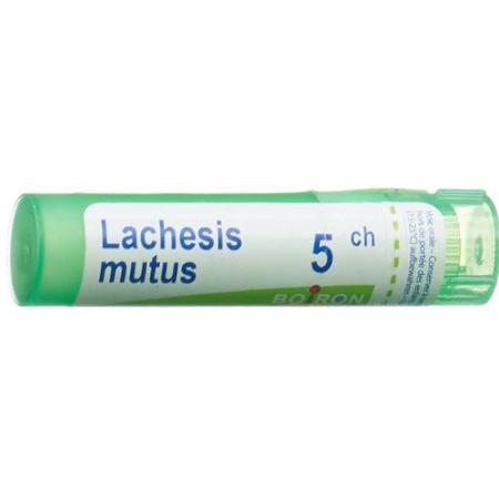 Boiron Lachesis mutus Gran C5 4g - PrimeCare Global