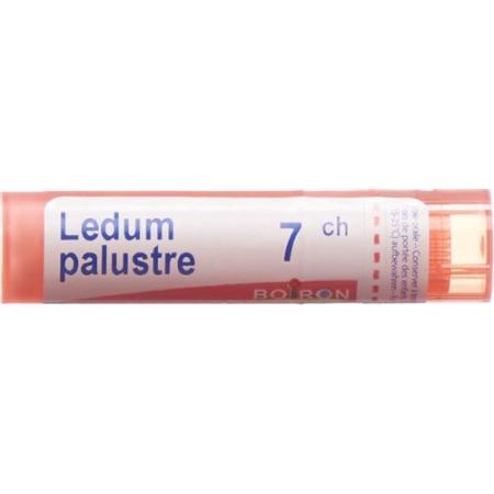 Boiron Ledum palustre Gran C 7 4 g - PrimeCare Global