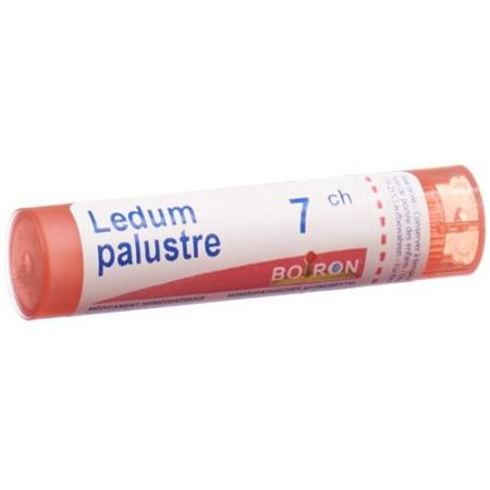 Boiron Ledum palustre Gran C 7 4 g - PrimeCare Global
