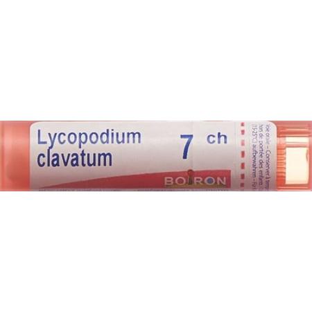Boiron Lycopodium clavatum Gran C 7 4g - PrimeCare Global