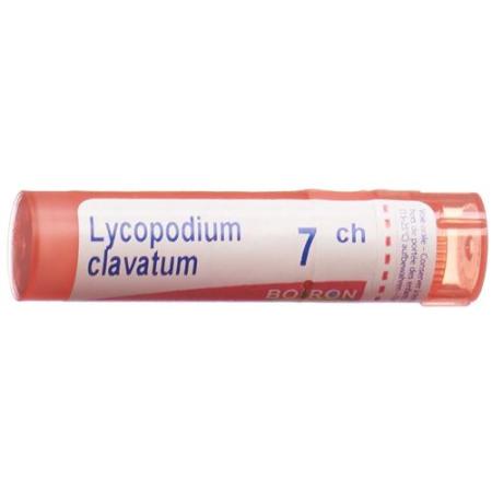 Boiron Lycopodium clavatum Gran C 7 4g - PrimeCare Global