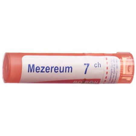 Boiron Mezereum Gran C 7 4g - PrimeCare Global