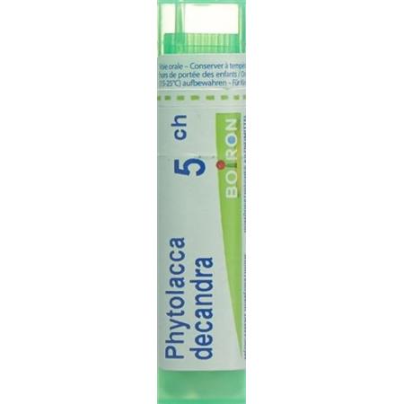 Boiron Phytolacca decandra Gran C 5 4g - PrimeCare Global
