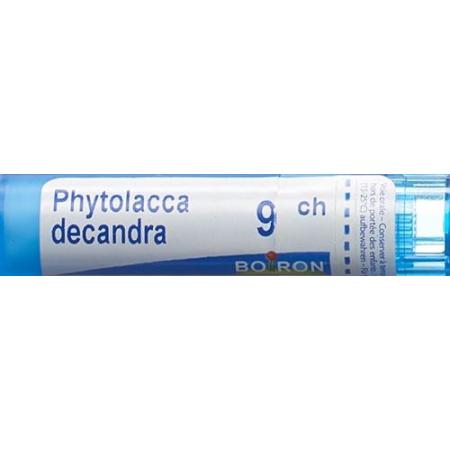 Boiron Phytolacca decandra Gran C 9 4 g - PrimeCare Global