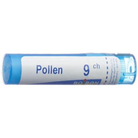 Boiron Pollen pollant Gran C 9 4 g - PrimeCare Global