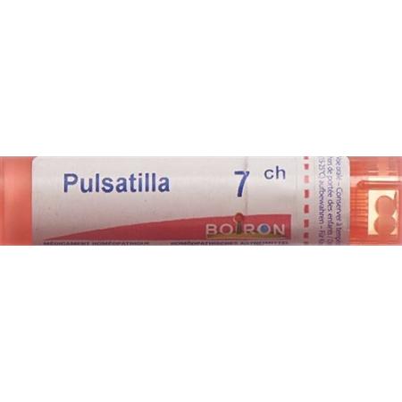 Boiron Pulsatilla Gran C 7 4g - PrimeCare Global
