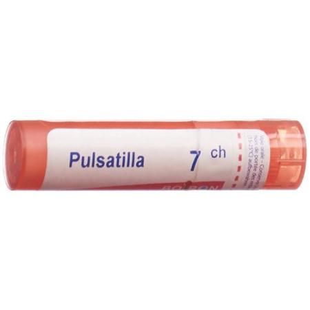 Boiron Pulsatilla Gran C 7 4g - PrimeCare Global