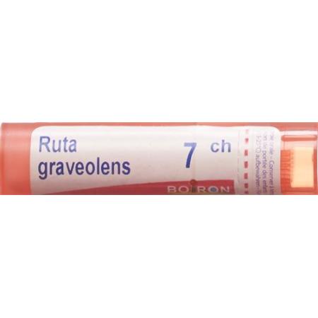 Boiron Ruta graveolens Gran C 7 4g - PrimeCare Global