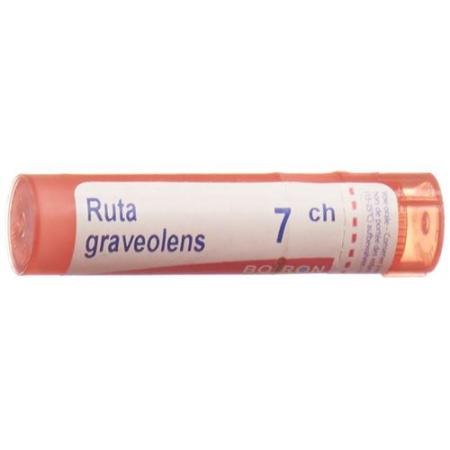 Boiron Ruta graveolens Gran C 7 4g - PrimeCare Global