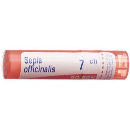 Boiron Sepia officinalis Gran C 7 4g - PrimeCare Global