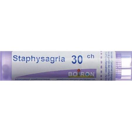 Boiron Staphysagria Gran C 30 4g - PrimeCare Global