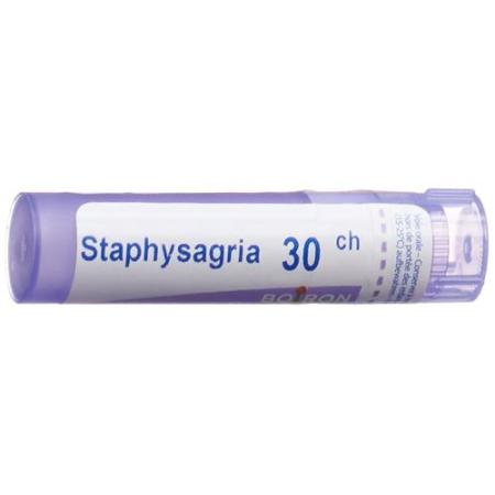 Boiron Staphysagria Gran C 30 4g - PrimeCare Global