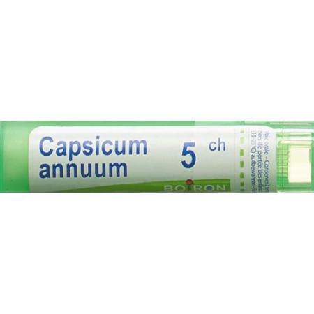 Boiron Capsicum annuum Gran C5 4g - PrimeCare Global