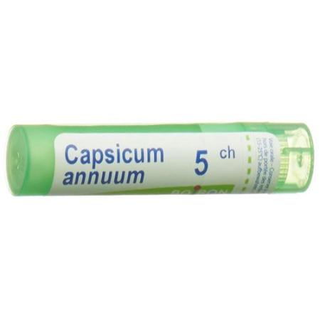 Boiron Capsicum annuum Gran C5 4g - PrimeCare Global