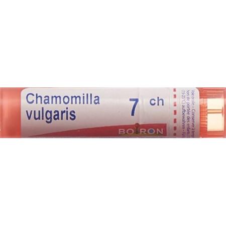 Boiron Chamomilla vulgaris Gran C 7 4g - PrimeCare Global