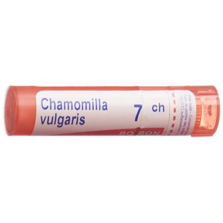 Boiron Chamomilla vulgaris Gran C 7 4g - PrimeCare Global