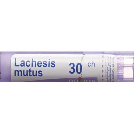 Boiron Lachesis mutus Gran C 30 4g - PrimeCare Global