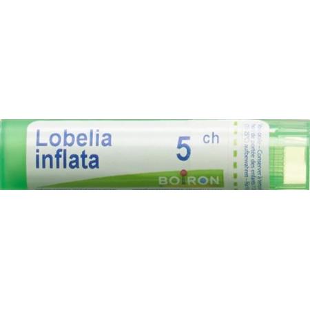 Boiron Lobelia inflata Gran C 5 4g - PrimeCare Global