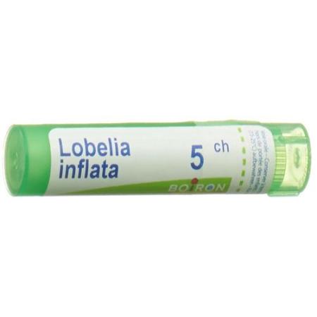 Boiron Lobelia inflata Gran C 5 4g - PrimeCare Global