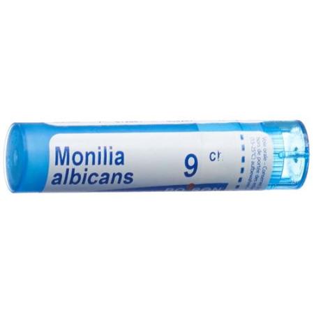 Boiron Monilia albicans Gran C 9 4g - PrimeCare Global