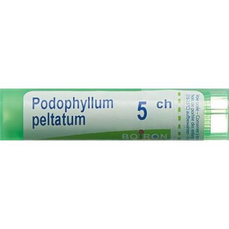 Boiron Podophyllum peltatum Gran C5 4g - PrimeCare Global