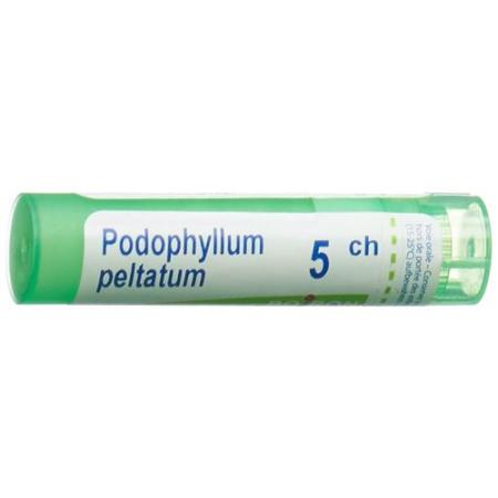 Boiron Podophyllum peltatum Gran C5 4g - PrimeCare Global
