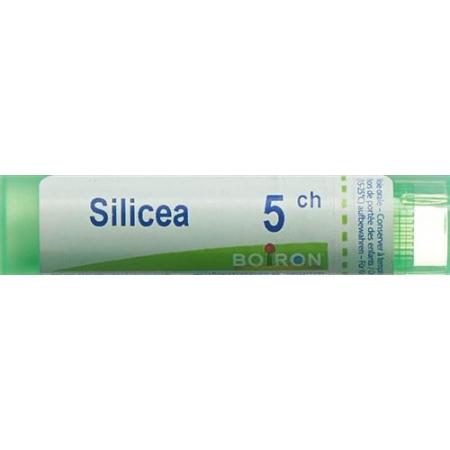 Boiron Silicea Gran C5 4g - PrimeCare Global