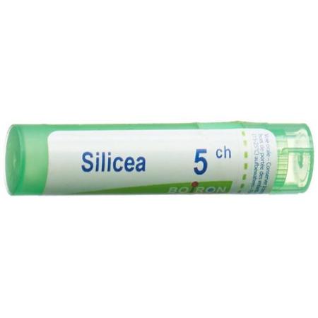 Boiron Silicea Gran C5 4g - PrimeCare Global