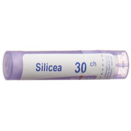 Boiron Silicea Gran C 30 4g - PrimeCare Global