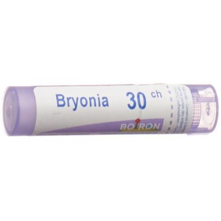 Boiron Bryonia Gran C 30 4g - PrimeCare Global