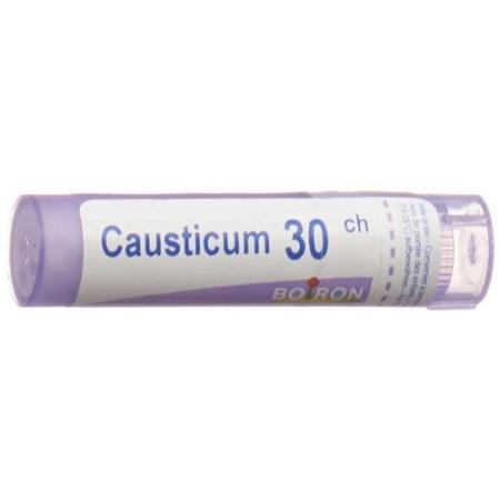 Boiron Causticum Granulat C 30 4г - PrimeCare Global