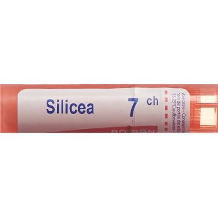 Boiron Silicea Gran C 7 4g - PrimeCare Global